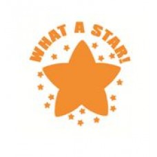 What a Star 22mm x 22mm School stamper by Colop